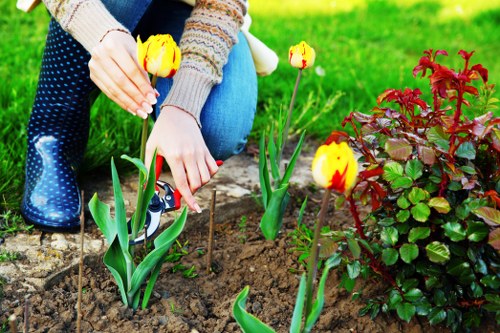 A person tending to a flower bed in a well-maintained garden, with yellow tulips and a bush with reddish leaves visible. The garden features a neatly prepared soil bed, surrounded by a lush, green grass lawn. The person's hands are close to the tulips, suggesting they are planting or caring for the flowers. The background shows a mixture of vibrant greenery and natural outdoor elements, under bright, natural daylight, indicating a clear and mild weather day. The scene reflects typical gardening activity suitable for outdoor maintenance and planting services offered by Gardener Spitalfields, demonstrating part of a landscaped and inviting outdoor space in an urban garden or backyard environment.